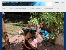 Tablet Screenshot of lowseclifestyle.com